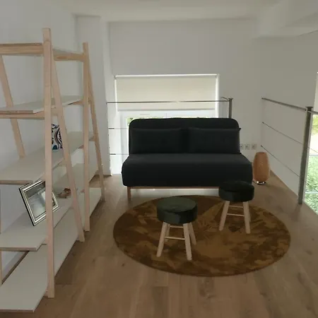 Sublime Loft Dans Chateau A 200 M Douane Suisse Apartment
