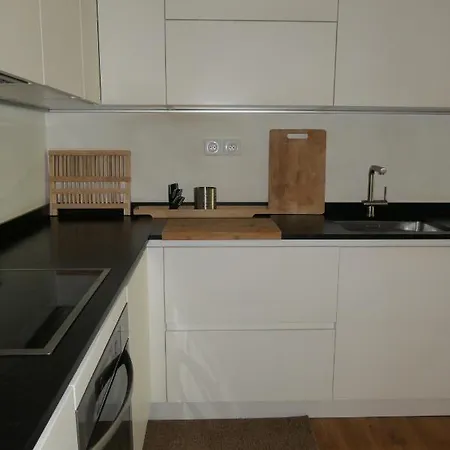 Apartment Sublime Loft Dans Chateau A 200 M Douane Suisse Etrembieres